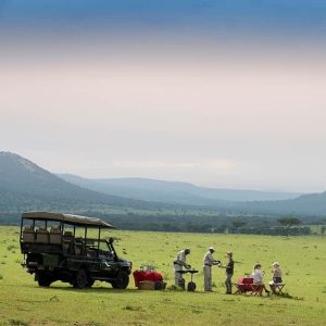 Should you hire a car in Africa - picnic on safari