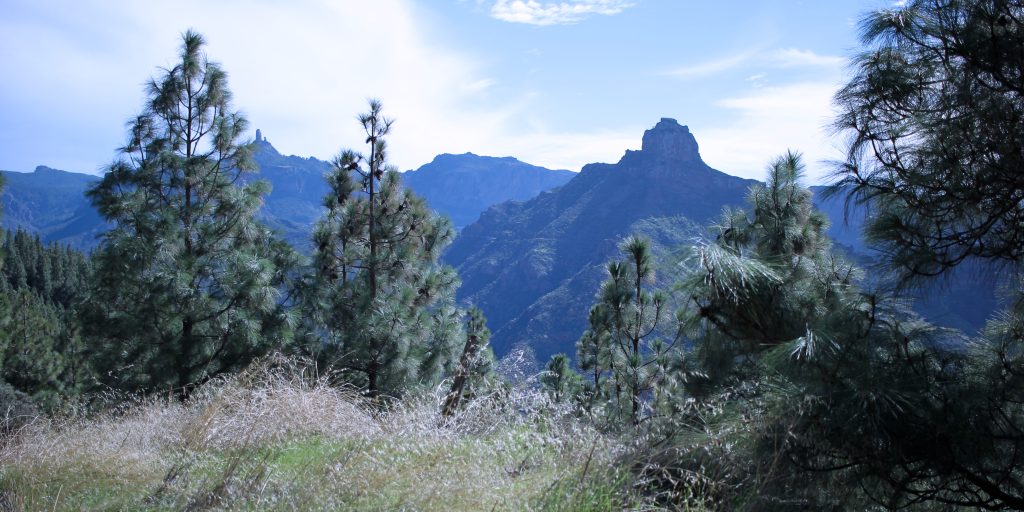 Hiking trails around Artenara on Gran Canaria are much easier to access with a rental car.